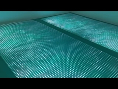 সম্পূর্ণ রঙের নমনীয় LED স্বচ্ছ ফিল্ম স্ক্রীন P8 স্বচ্ছ ফিল্ম LED ডিসপ্লে স্ক্রীন